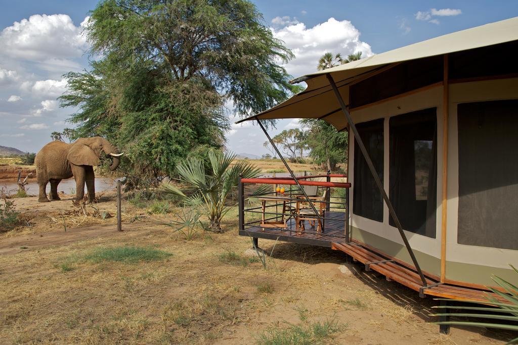 Ashnil Samburu Camp Vila Archers Post Exterior foto